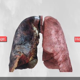 silica-dust-effects-on-lungs